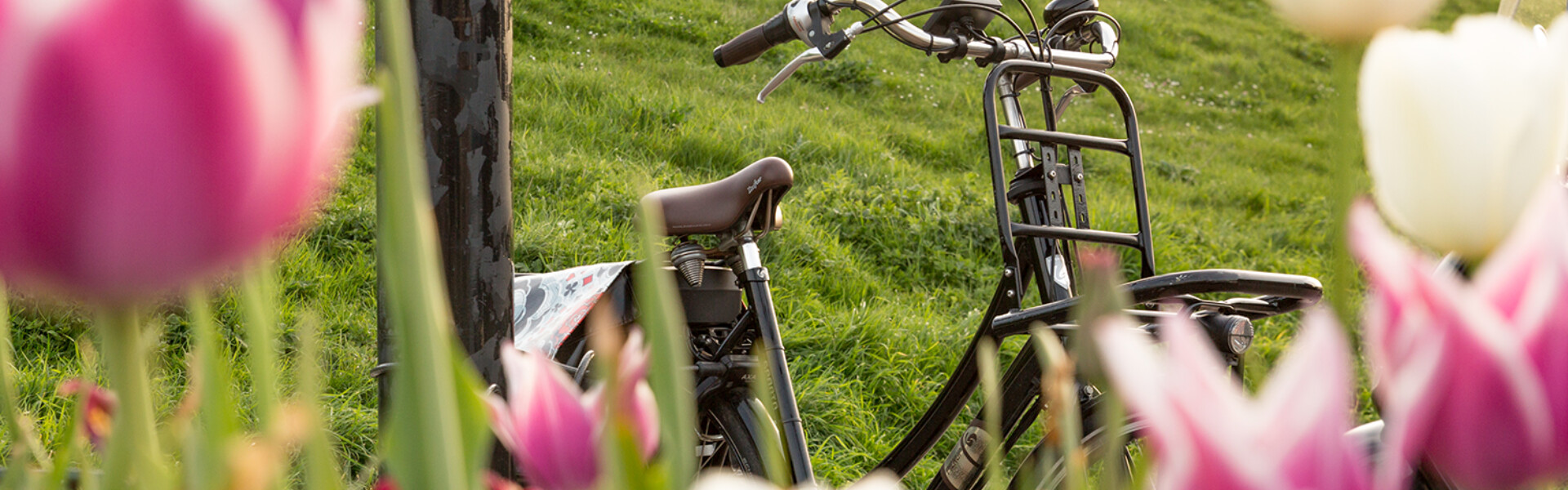 Arrangementen in Zeeland