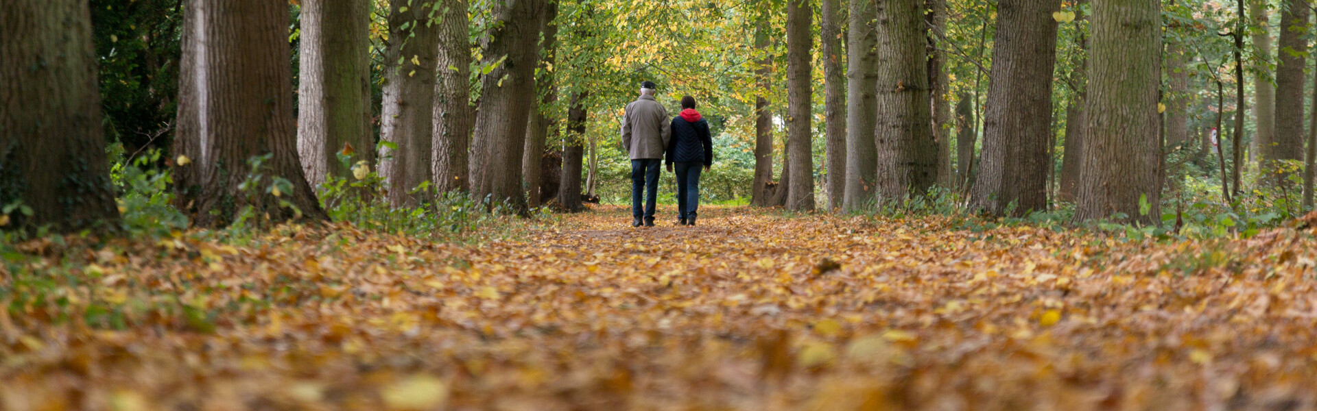 Arrangementen in Zeeland
