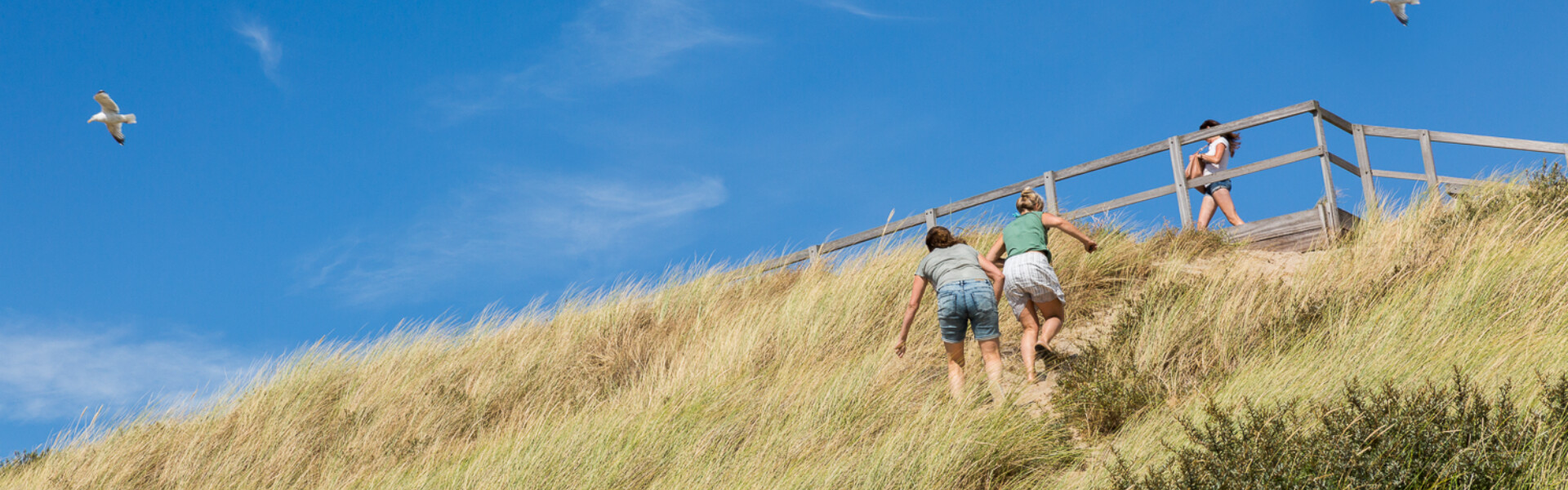 Evenementenlocatie Zeeland