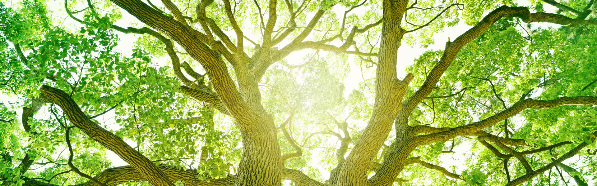 Duurzaamheid & Green Key